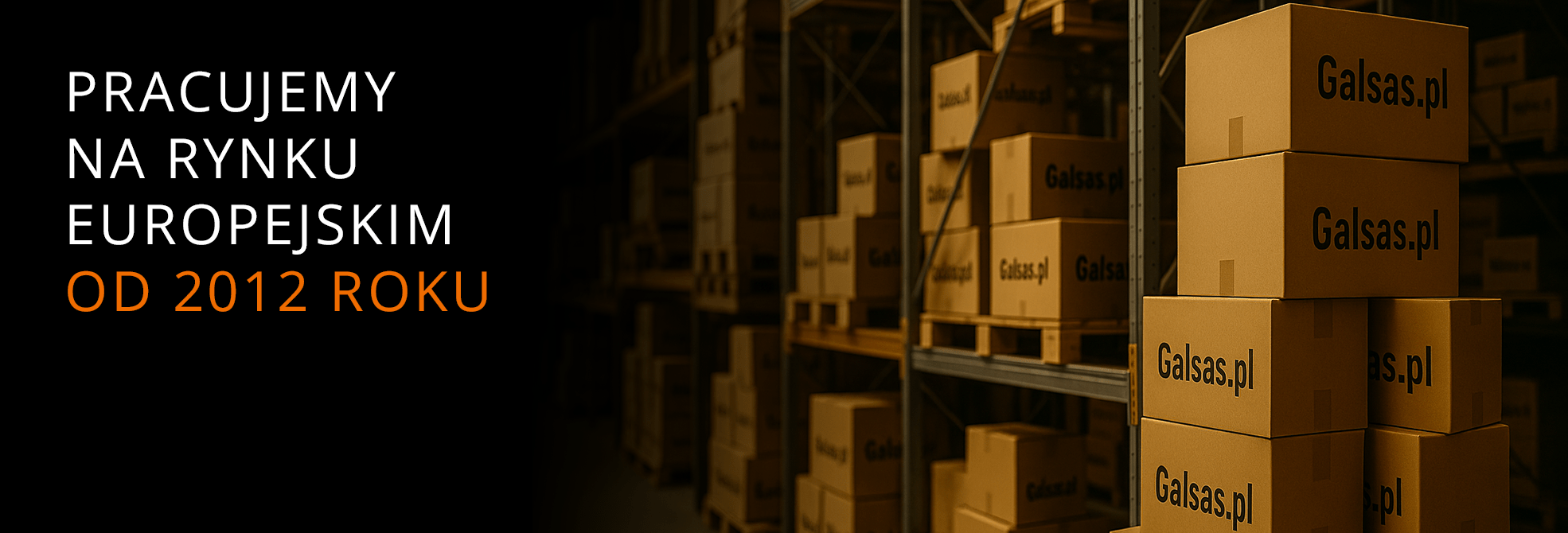 Pracujemy na rynku europejskim od 2012 roku