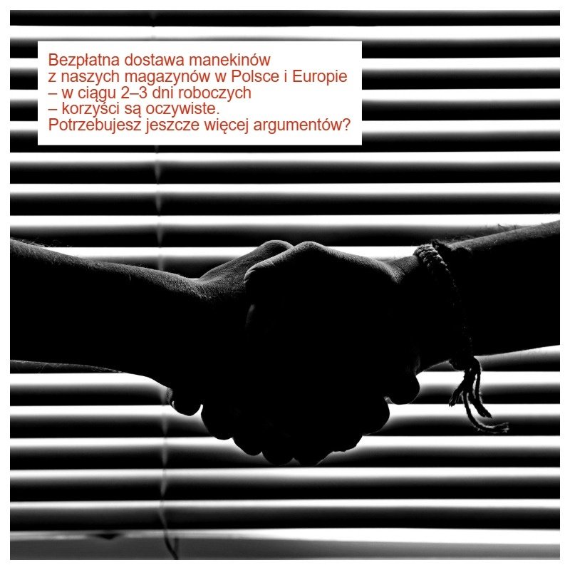 Nemokamas manekenu pristatymas 03