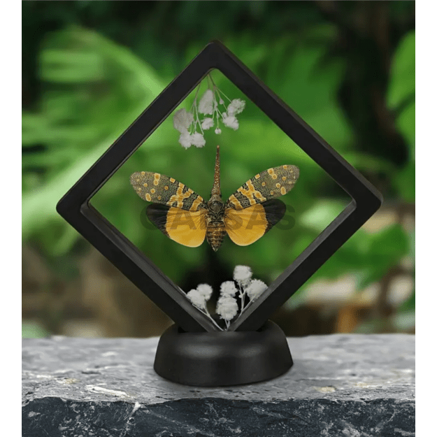 Ramka 3D do pakowania prezentów z elastyczną folią (+ futerał) - na biżuterię, numizmaty, zdjęcia. Kolor czarny. Wymiary 7 x 7 x 2 cm (wys.) Ramka 3D do pakowania prezentów z elastyczną folią (+ futerał) - na biżuterię, numizmaty, zdjęcia. Kolor czarny. Wymiary 7 x 7 x 2 cm (wys.)