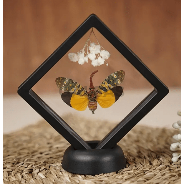 Ramka 3D do pakowania prezentów z elastyczną folią (+ futerał) - na biżuterię, numizmaty, zdjęcia. Kolor czarny. Wymiary 7 x 7 x 2 cm (wys.) Ramka 3D do pakowania prezentów z elastyczną folią (+ futerał) - na biżuterię, numizmaty, zdjęcia. Kolor czarny. Wymiary 7 x 7 x 2 cm (wys.)